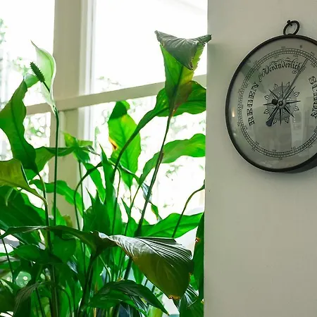 ホテル La Reginella 2*