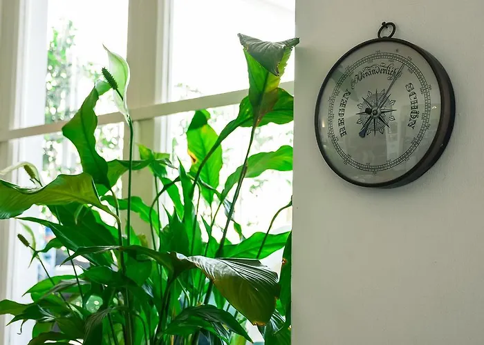 Hotel La Reginella 2*